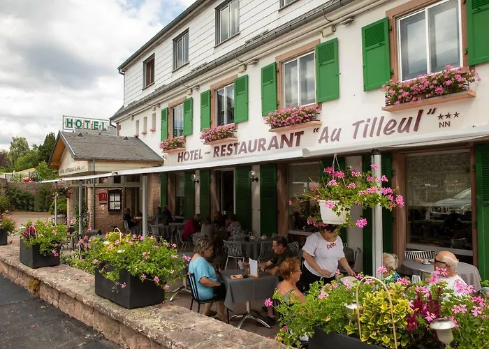 Hotel Restaurant Et Spa Au Tilleul